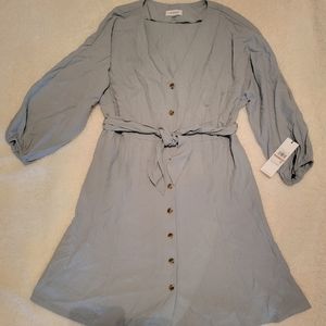 Super Cute Calvin Klein, Sage button down dress! NWT, Size 12